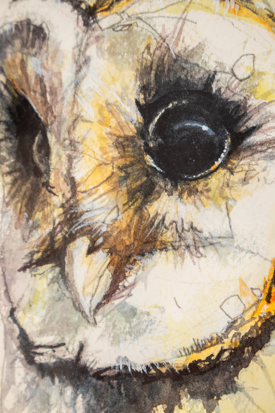 Barn Owl no.3 | 7x9