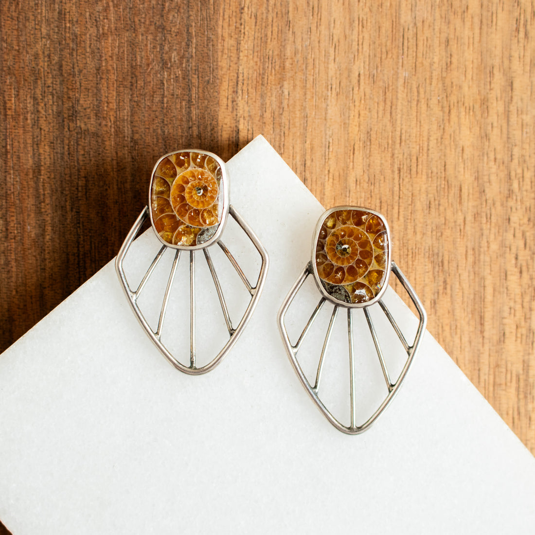 Ammonite Radiate Stud Earrings