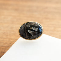 Size 9.5 | Turritella Fossil Ring