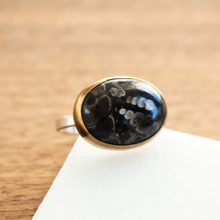 Size 9.5 | Turritella Fossil Ring