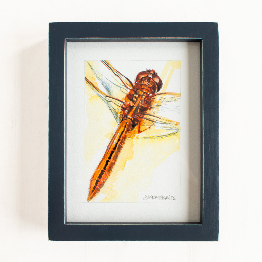 Red Dragonfly no.2 | 7x9