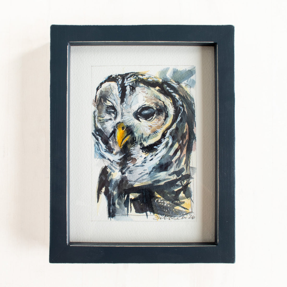 Barred Owl | 7x9