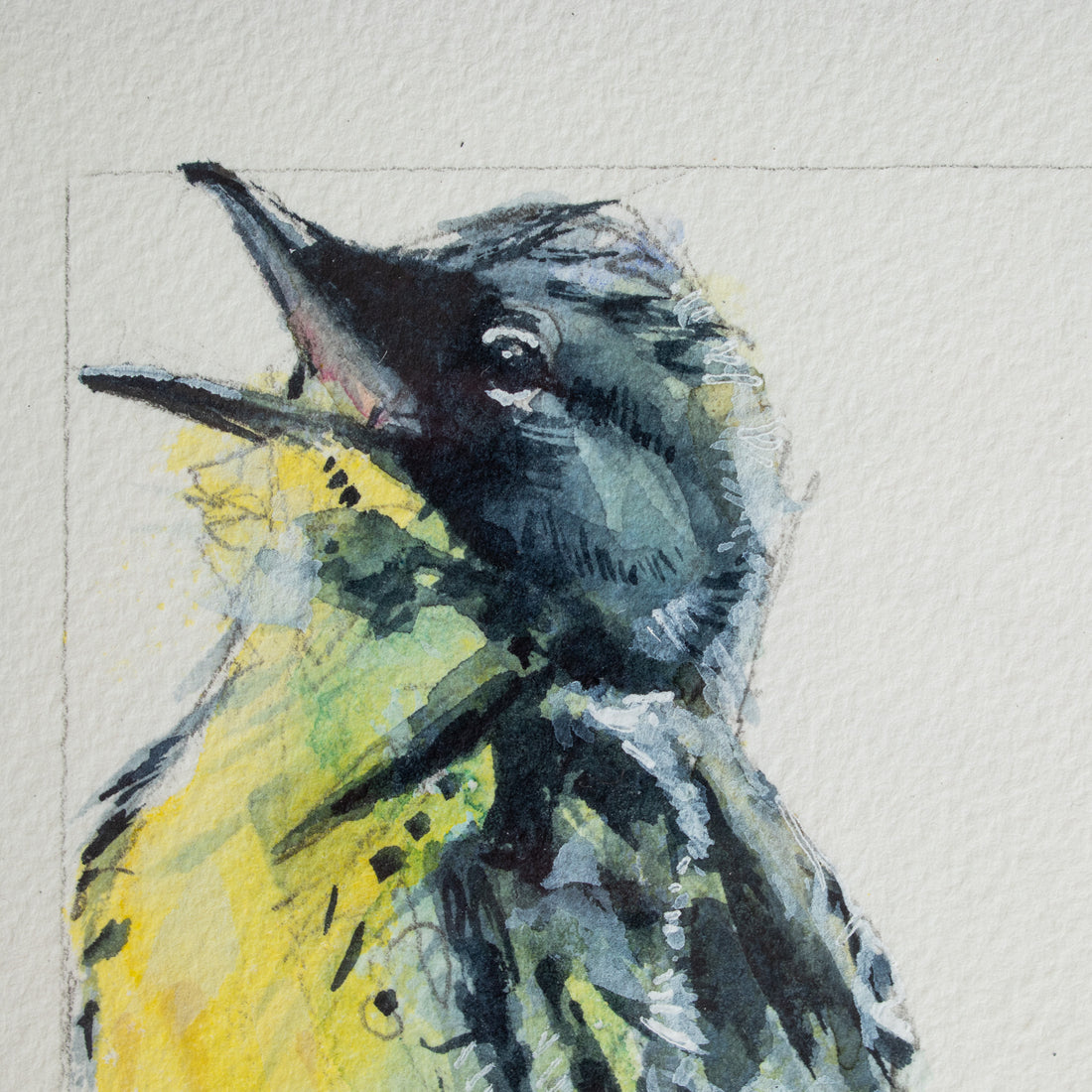 Kirtland's Warbler | 7x9