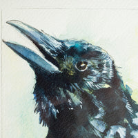 Raven no.8 | 7x9