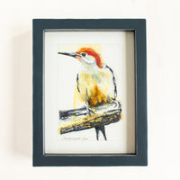 Red-Bellied Woodpecker no.2 | 7x9