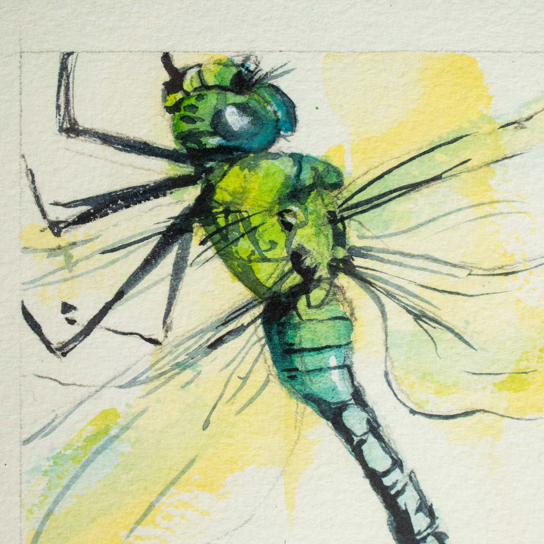 Green Dragonfly | 7x9