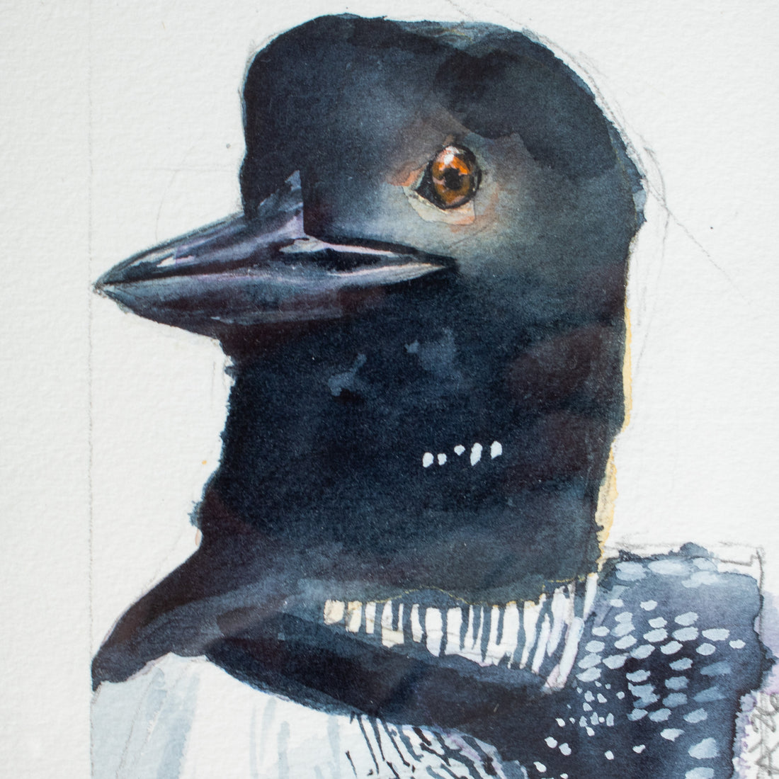 Loon no.2 | 7x9