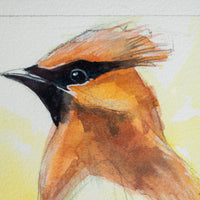 Cedar Waxwing no.3 | 7x9
