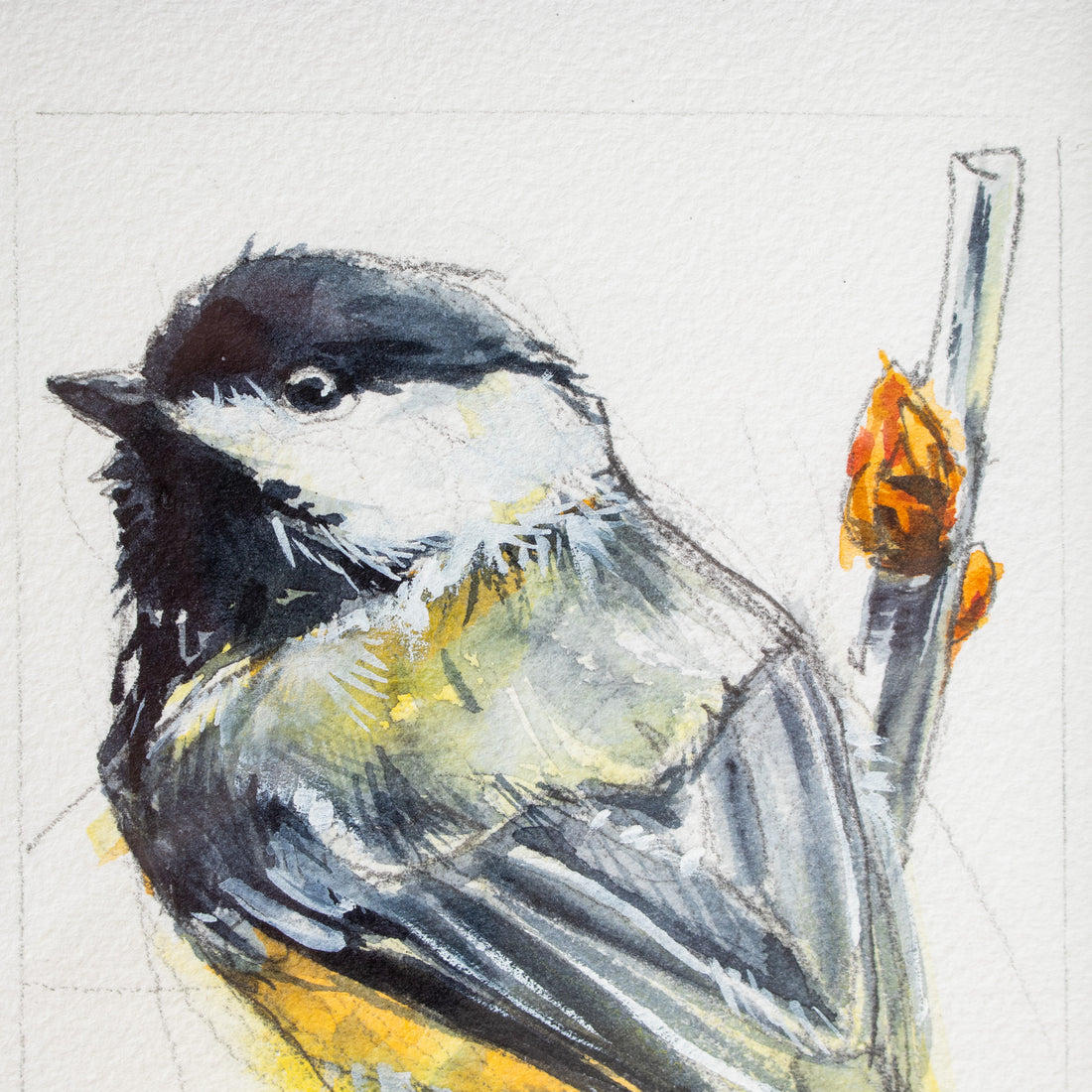 Black-Capped Chickadee no.6 | 7x9