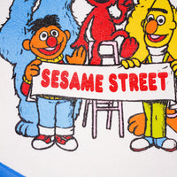 Sesame Street Friends Camp Flag