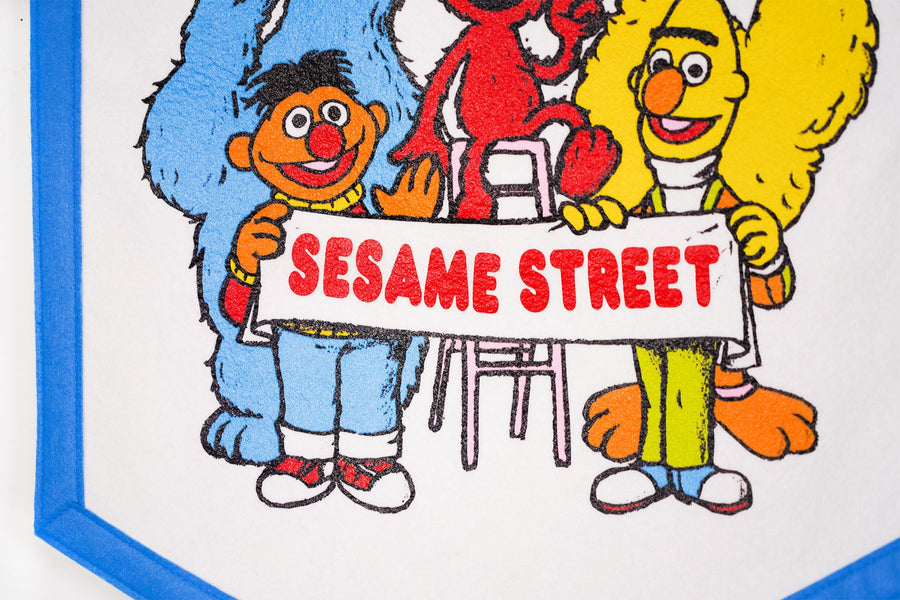Sesame Street Friends Camp Flag