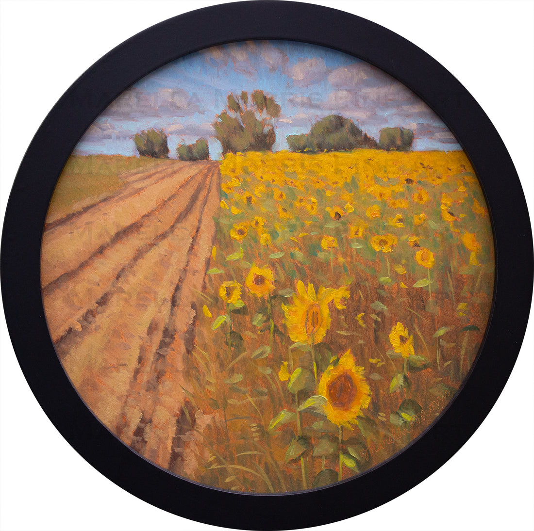 Round Sunflower Walk | Oil on Hardboard