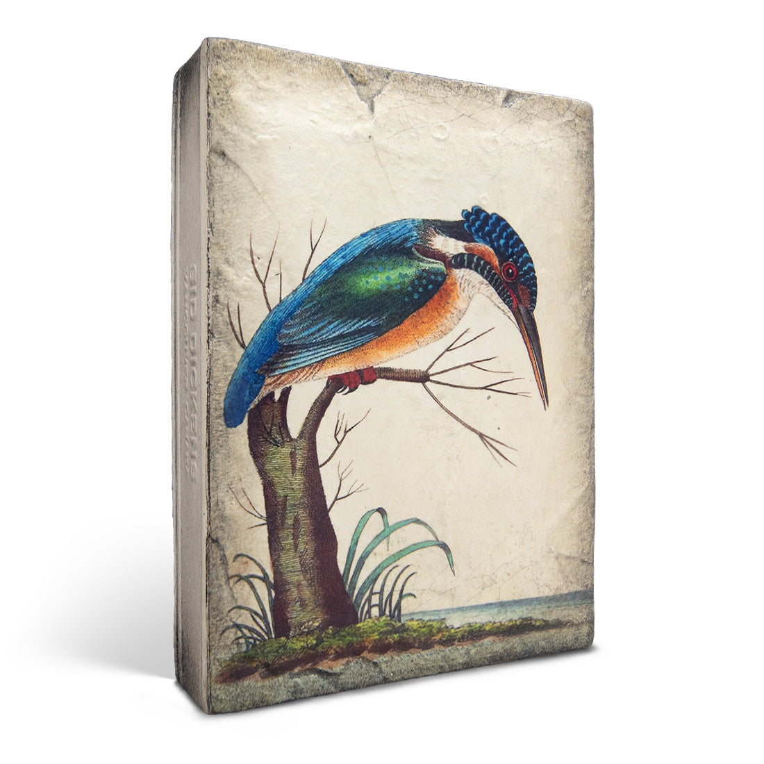 Kingfisher T599 *On Backorder* | Sid Dickens Memory Block