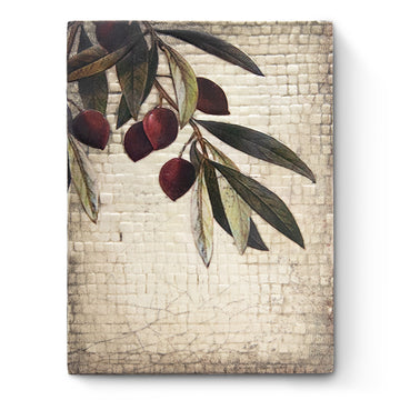 Olive Tree T603 | Sid Dickens Memory Block