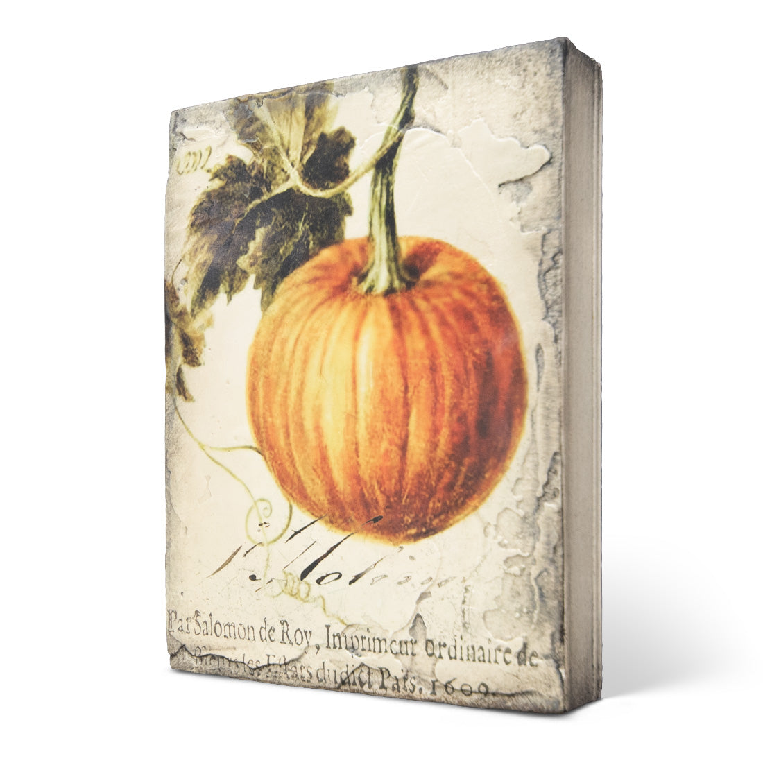 Pumpkin T619 | Sid Dickens Memory Block