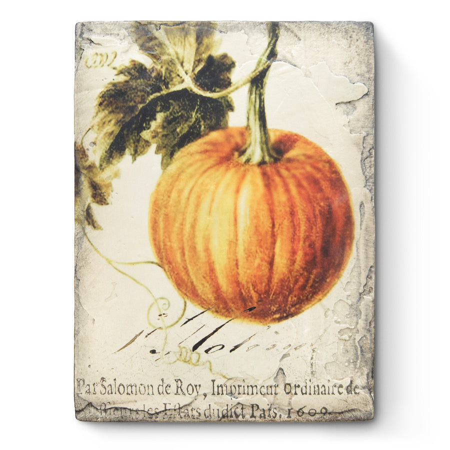 Pumpkin T619 | Sid Dickens Memory Block