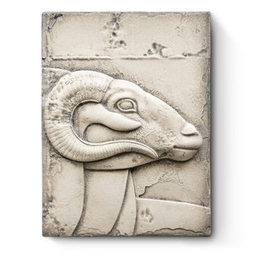 Sacred Ram T620 | Sid Dickens Memory Block