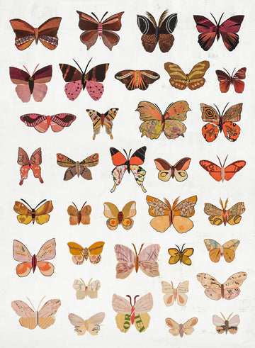 Butterflies Dawn | Archival Print