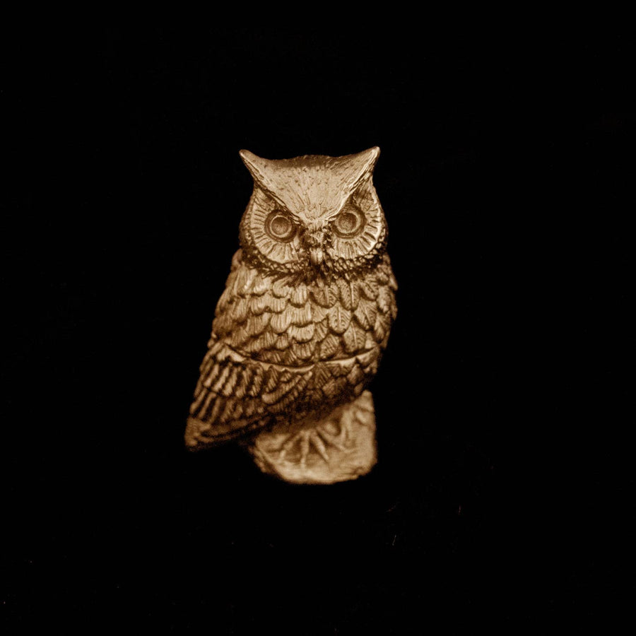 Screech Owl Box | Gold