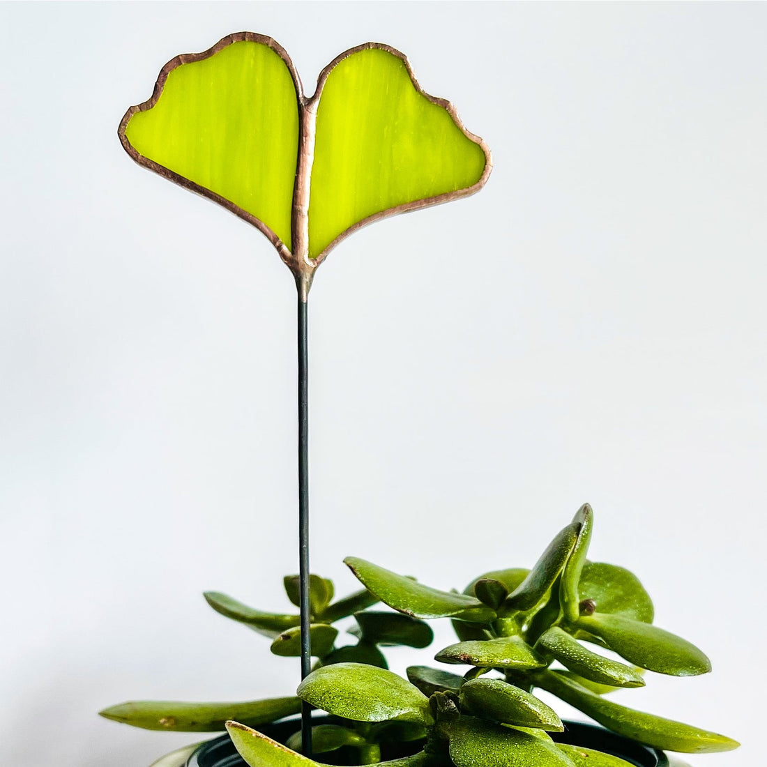 Glass Ginkgo Leaf Stake | Light Green w/ Copper