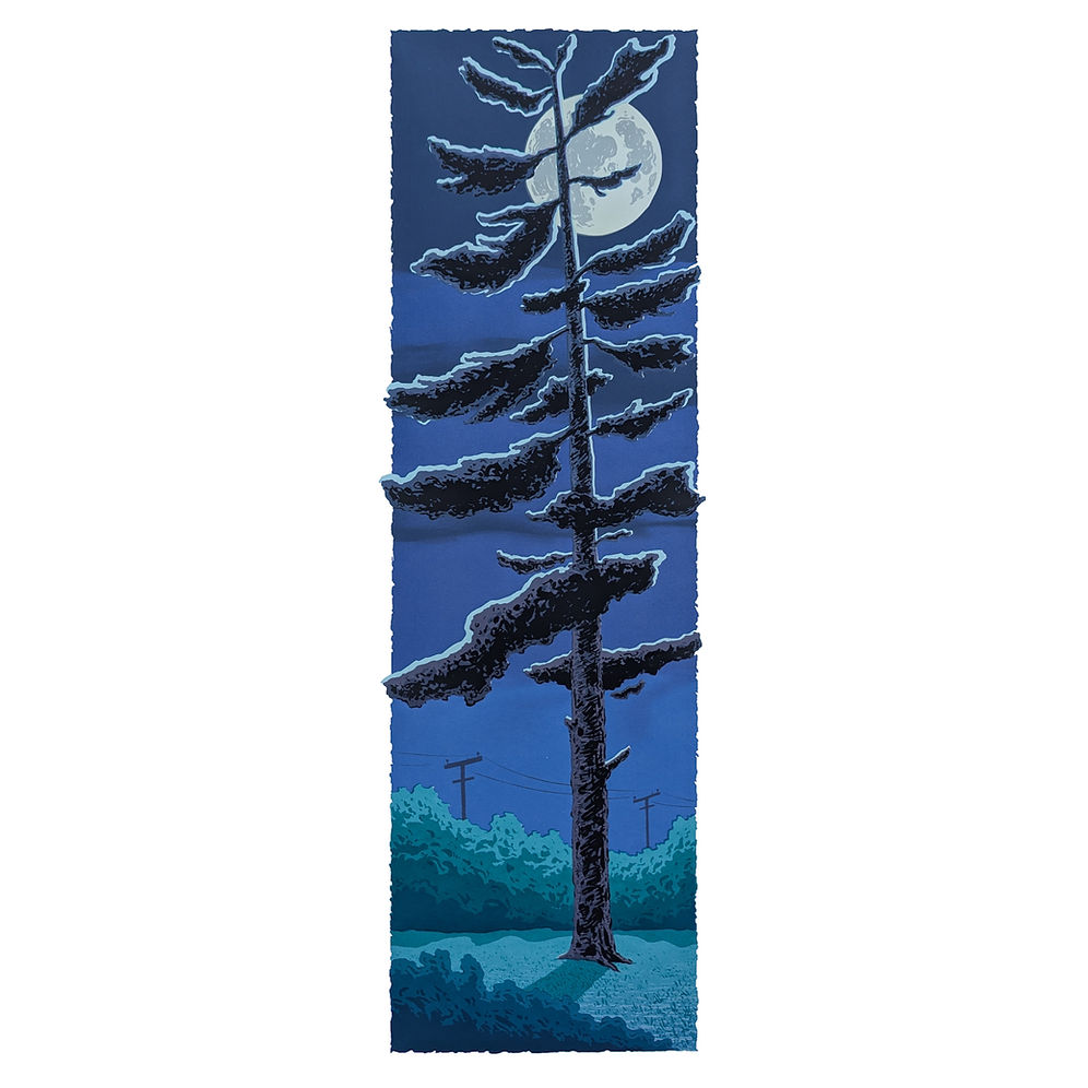 Under the Moon | 12x28