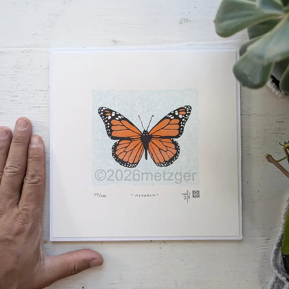 Monarch | 8x8