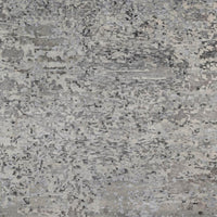 8'0"x10'2" | Grey Contemporary | Wool | 210000031270