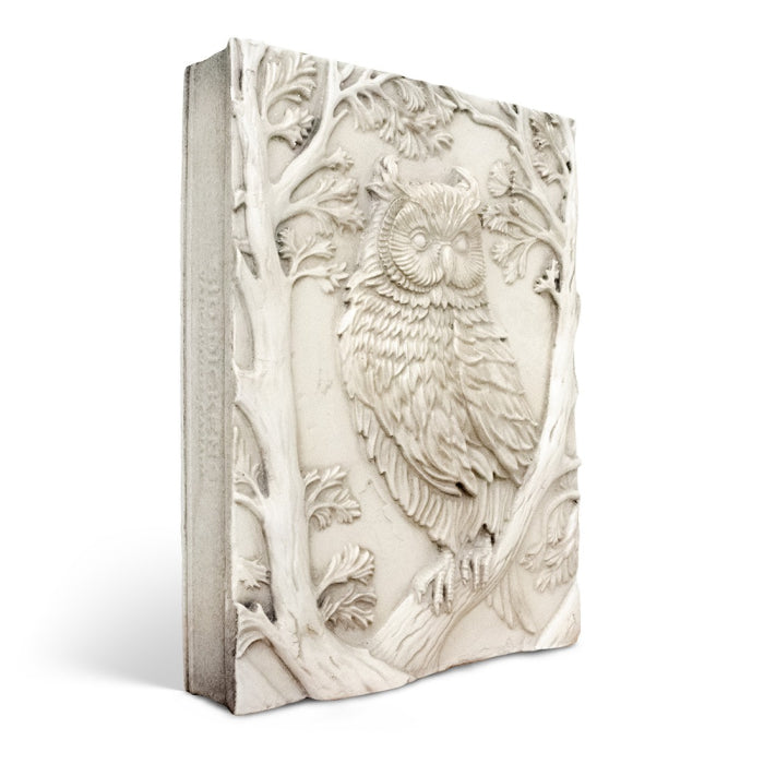 Perception T637 | Sid Dickens Memory Block