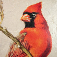 Red Cardinal T638 | Sid Dickens Memory Block