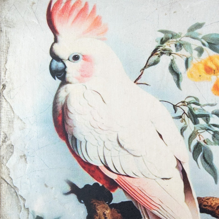 Crested Jester T654 *Made to Order* | Sid Dickens Memory Block