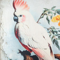 Crested Jester T654 *Made to Order* | Sid Dickens Memory Block