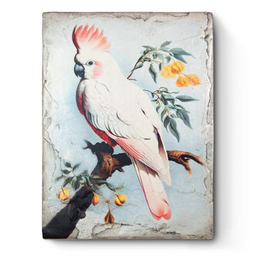 Crested Jester T654 *Made to Order* | Sid Dickens Memory Block