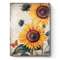 Sunflower T662 | Sid Dickens Memory Block