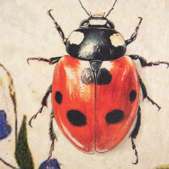 Ladybug T667 | Sid Dickens Memory Block