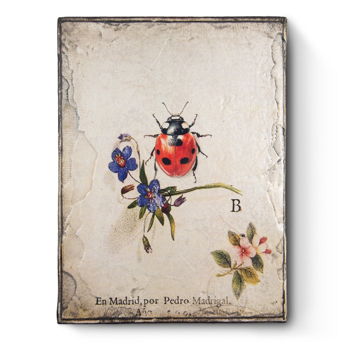 Ladybug T667 | Sid Dickens Memory Block