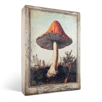 Forest Bloom T669 *Made to Order* | Sid Dickens Memory Block