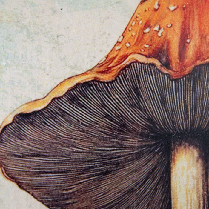 Forest Bloom T669 *Made to Order* | Sid Dickens Memory Block