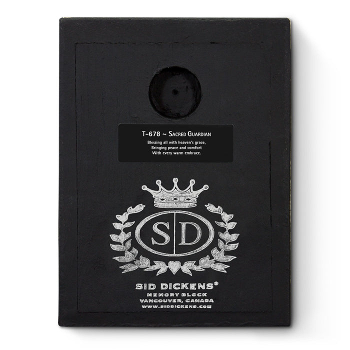 Sacred Guardian T678 | Sid Dickens Memory Block