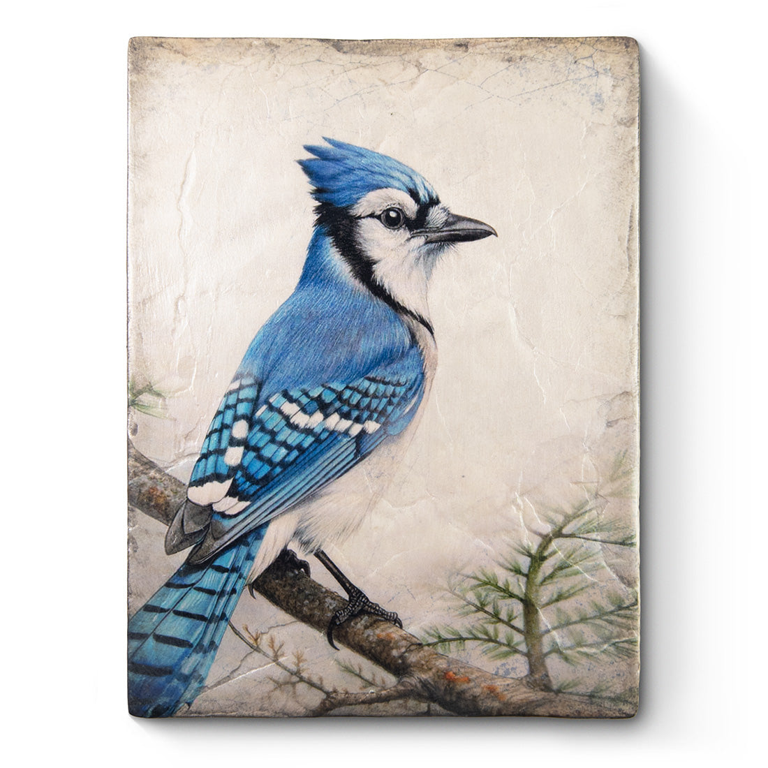 Blue Chatterer T690 *Pre-Order* | Sid Dickens Memory Block