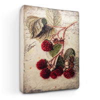 Scarlet Bramble T691 *Pre-Order* | Sid Dickens Memory Block