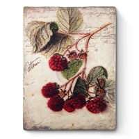 Scarlet Bramble T691 *Pre-Order* | Sid Dickens Memory Block