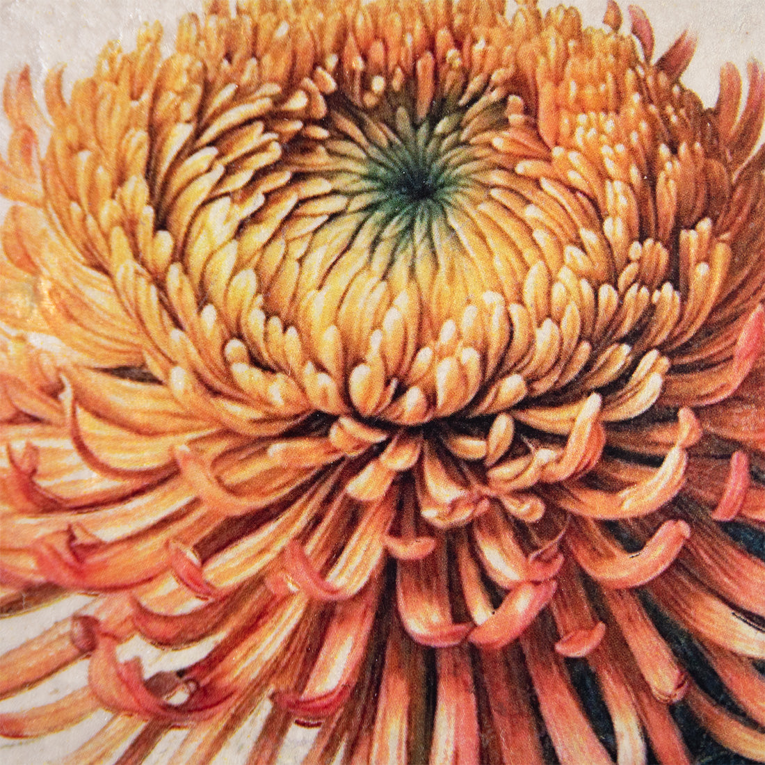 Eternal Bloom T704 *Made To Order* | Sid Dickens Memory Block