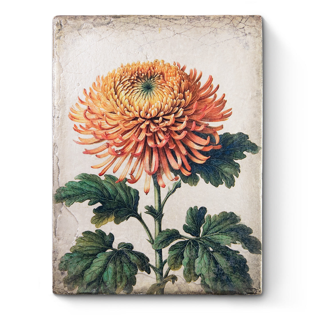 Eternal Bloom T704 *Made To Order* | Sid Dickens Memory Block