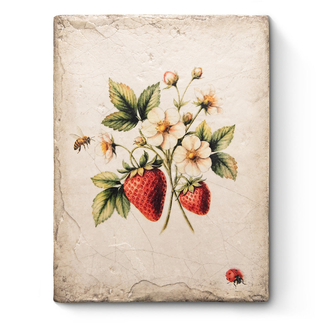 Summer Joy T706 *Made to Order* | Sid Dickens Memory Block