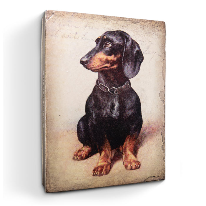 Small But Mighty T708 *Made to Order* | Sid Dickens Memory Block