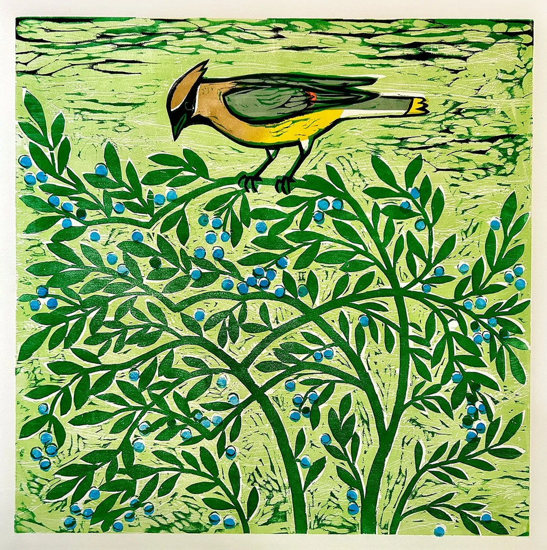 Waxwing Feast 24x24 | Woodblock Print