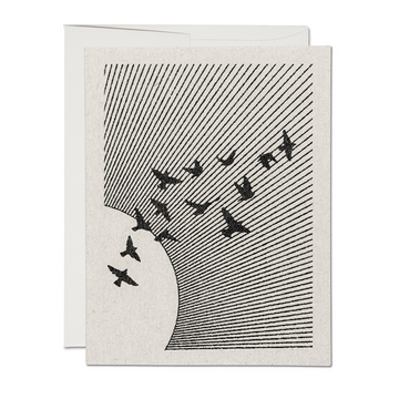 Flock of Birds Card