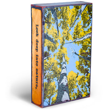 Depth Perception 208 | Houston Llew Spiritile
