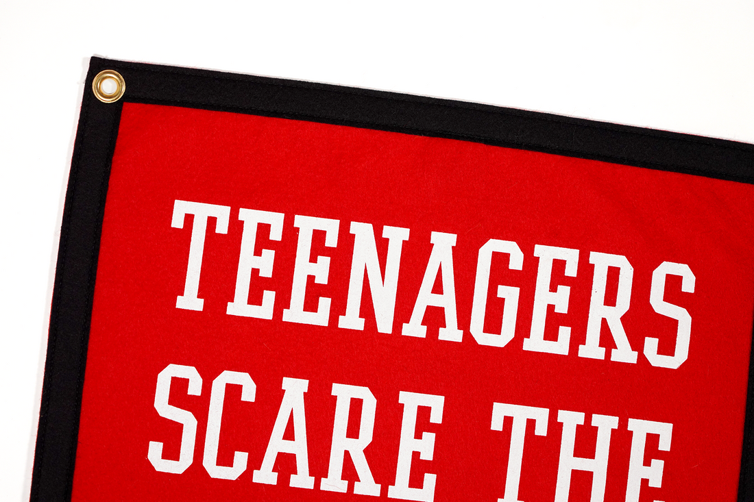 Teenagers Scare Me | Camp Flag