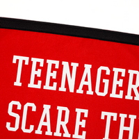 Teenagers Scare Me | Camp Flag